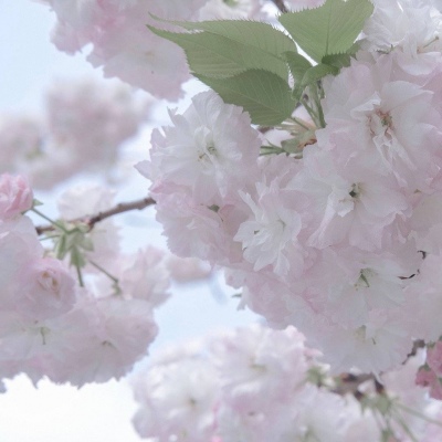 兽设复古风格设计福瑞交流群